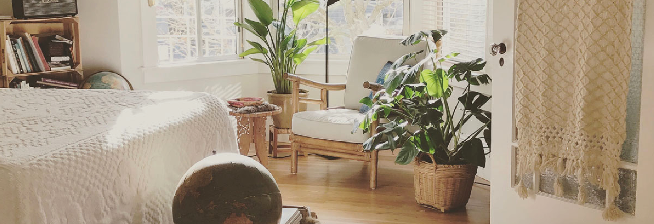 Plants in your bedroom - good or bad?