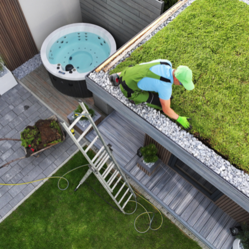 techos-verdes-azotea