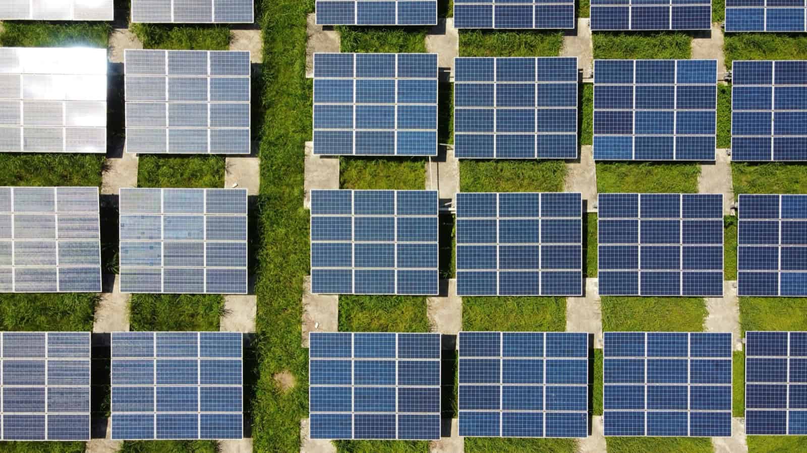 Vista aerea cenital de una instalacion de paneles fotovoltaicos formando filas regulares sobre terreno con vegetacion.